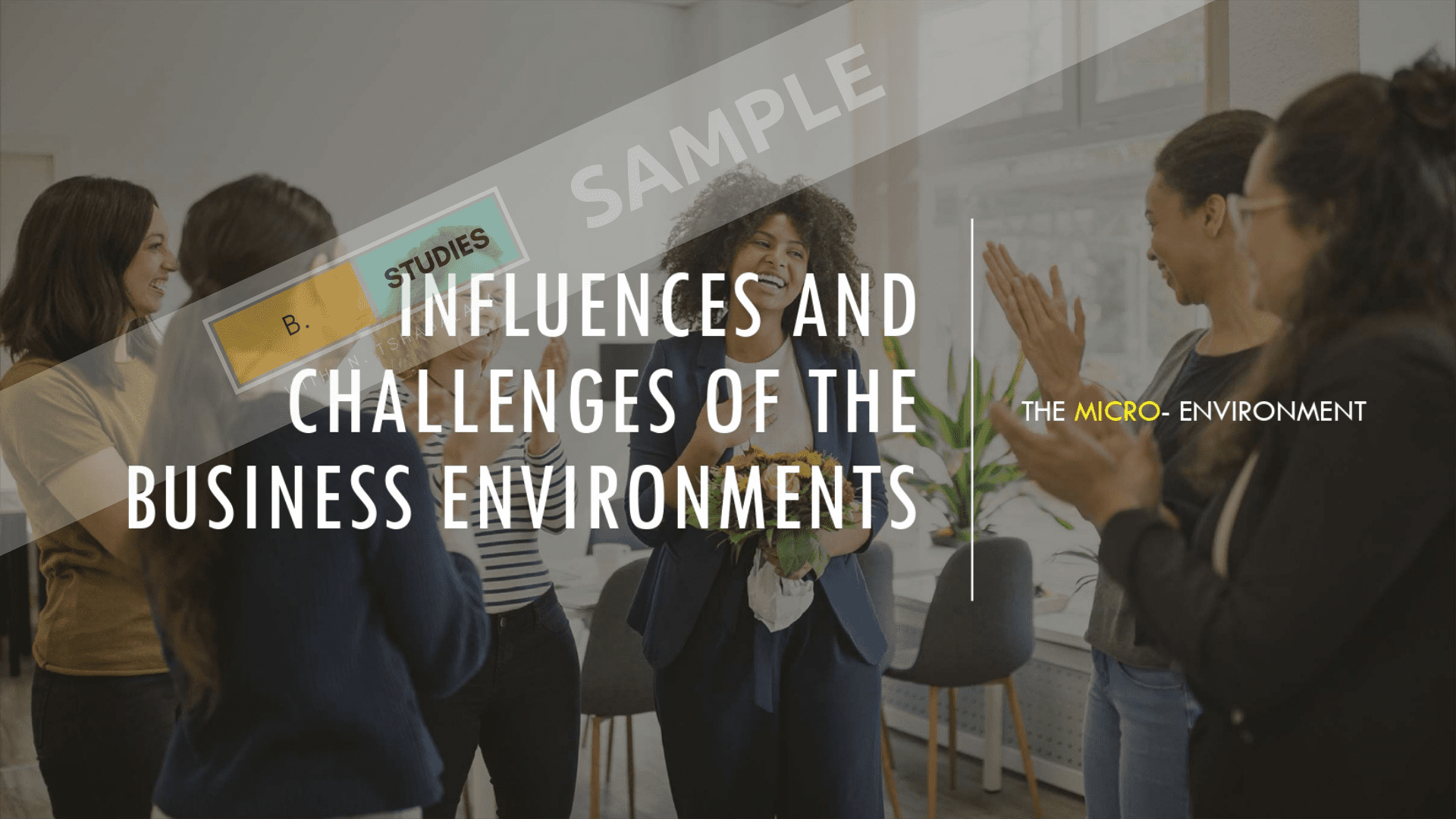 Grade 11 BS, Term 1, Chapter 01 - Influences and Challenges of the Business Environments - Image 2